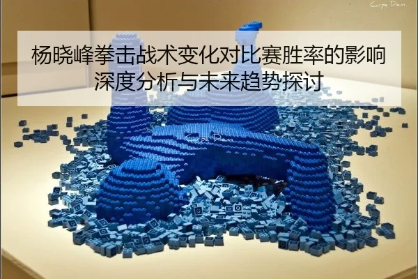 杨晓峰拳击战术变化对比赛胜率的影响深度分析与未来趋势探讨